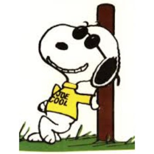 black and white dog wearing a shirt that says joe cool